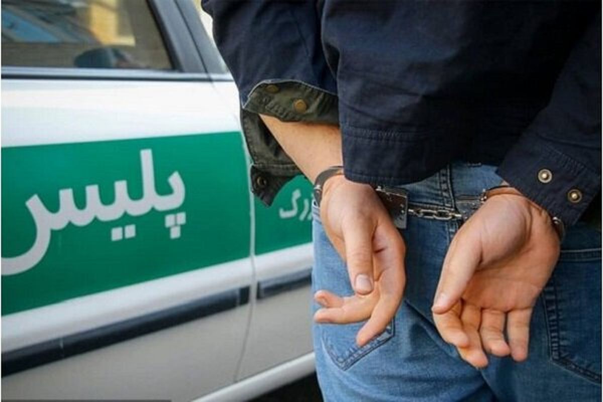 کشف 223 فقره سرقت‌ خشن در۲ روز

